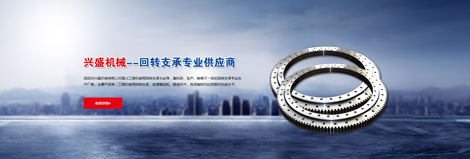 回轉支承專業(yè)供應商